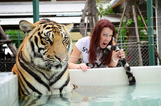  Ja u „Carstvu tigrova“ u Phuketu