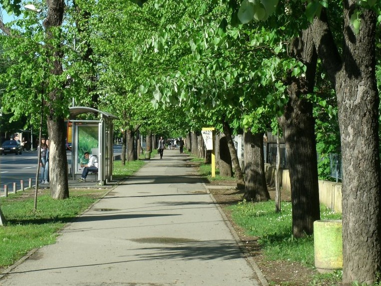  Banja Luka’s chestnut alleys