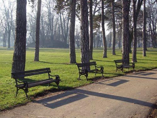  The Parks of Banja Luka – The Green Giants