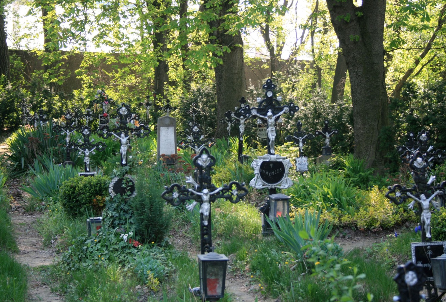  Neobična atrakcija: Groblje bezimenih u Beču