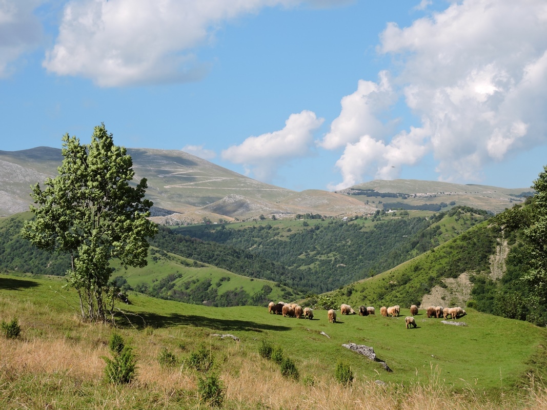  Nova turistička ponuda na planinama oko Sarajeva