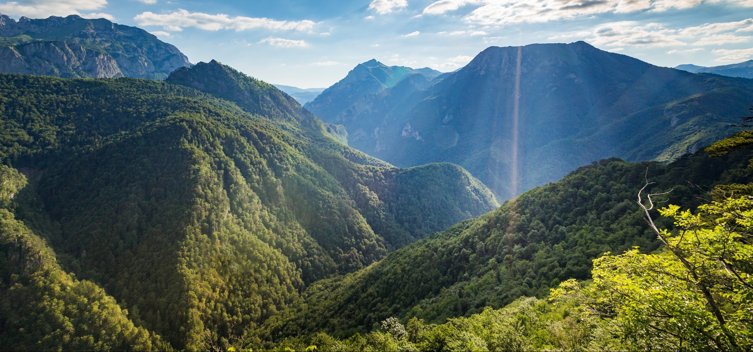  Perućica – jedna od rijetkih sačuvanih prašuma u Evropi