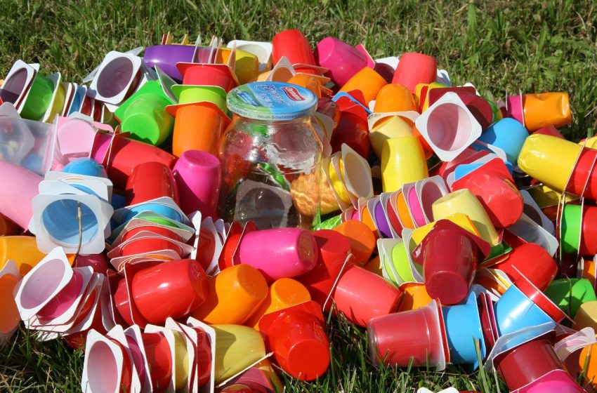  WWF pozvao sve vlade svijeta na zabranu štetnih jednokratnih plastičnih proizvoda