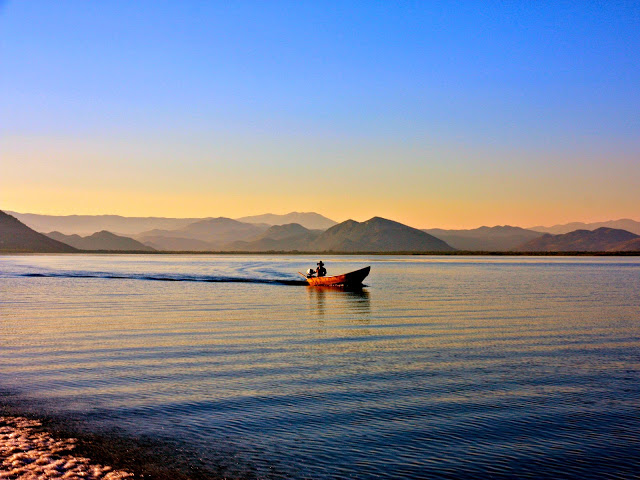  Skadarsko jezero – posljednje stanište pelikana