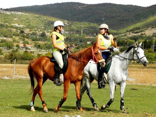  Konjičko rekreativni centar Pegasos