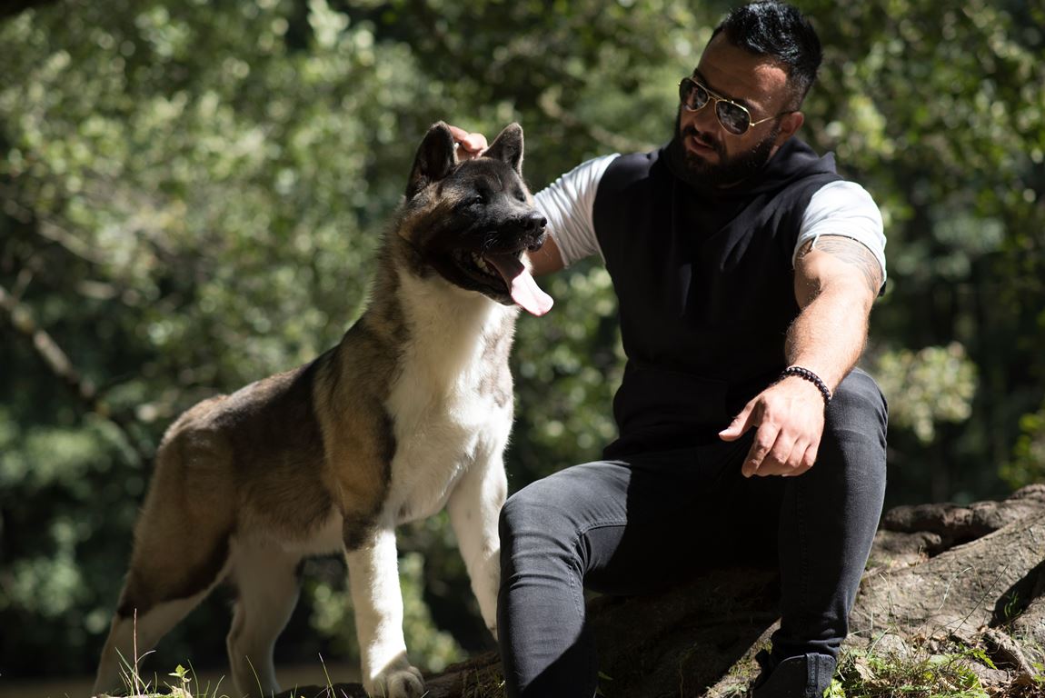  Nedim Šuta – Naučnik koji rješava pseće otkrivajući ljudske probleme