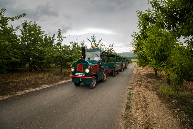  Plantaža voća u Blagaju: Novi raj za turiste