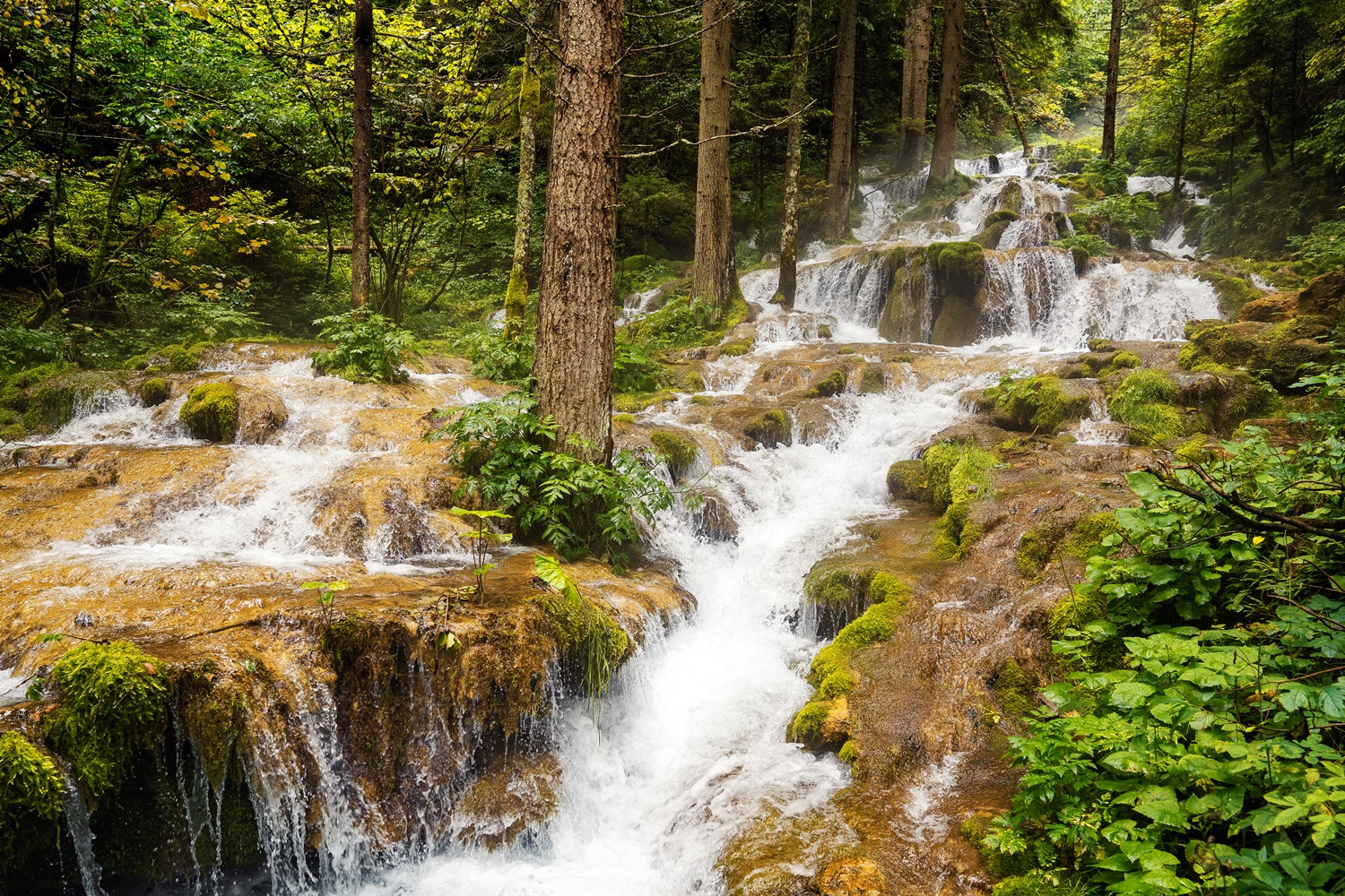  The Source of Miljacka River – Hidden Pearl near Sarajevo