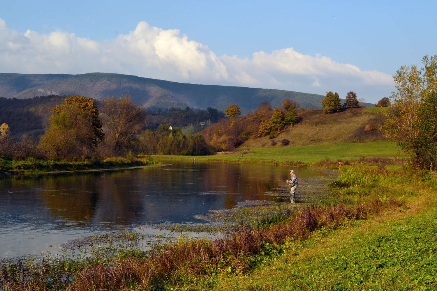  Recreational Fishing in Bosnia and Herzegovina