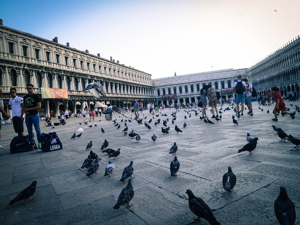  Tužan prizor: Veneciju su i golubovi napustili
