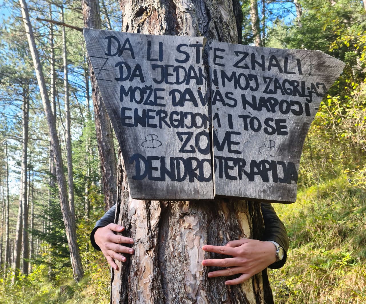  Forest Therapy – Hug Your Tree!