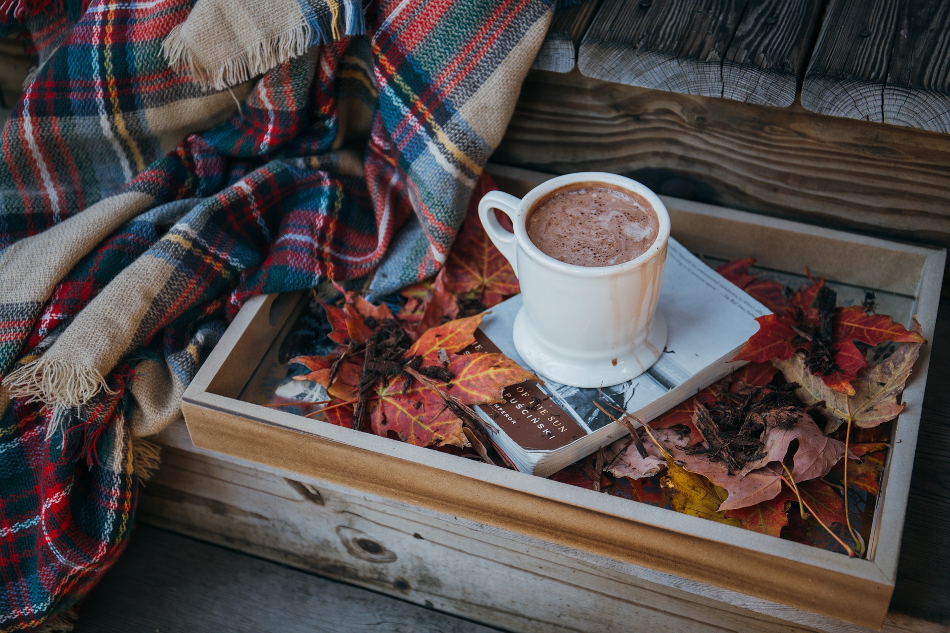  Hot Chocolate: It is healthy and makes you grin