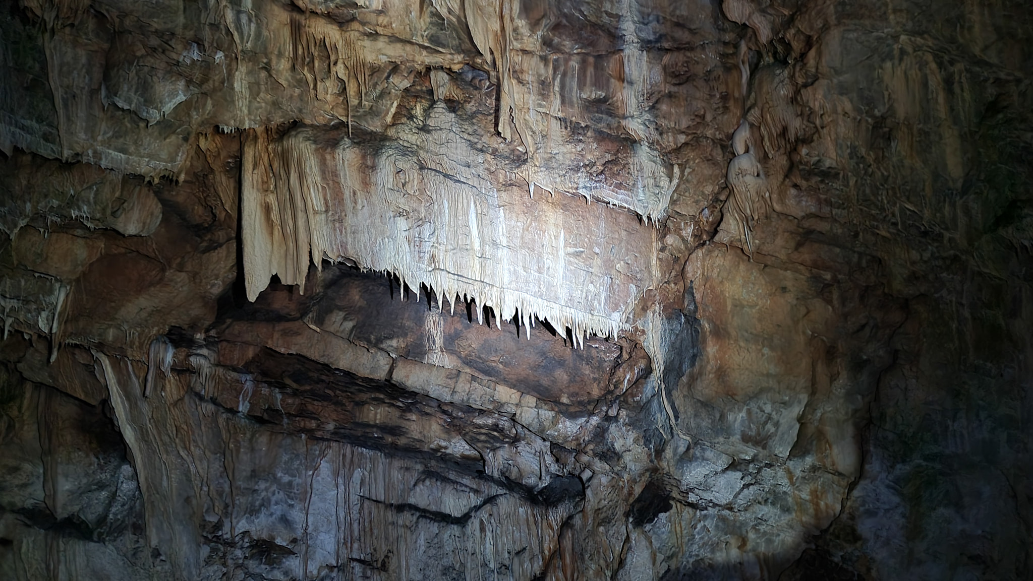  Pećina Grmuša – novootkriveni prirodni biser Bosne i Hercegovine