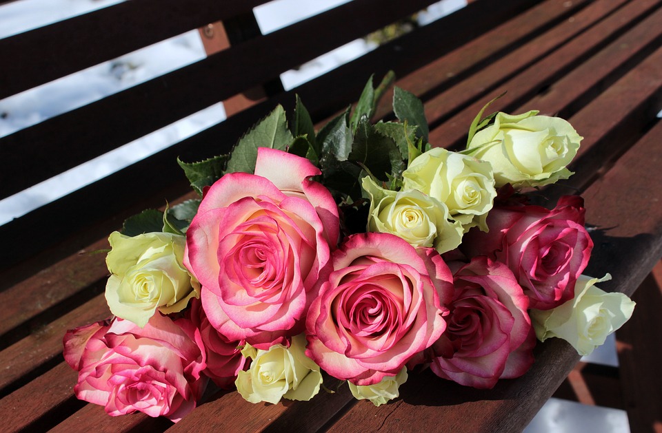  5 vrsta cvijeća koje umjesto riječi iskazuju ljubav