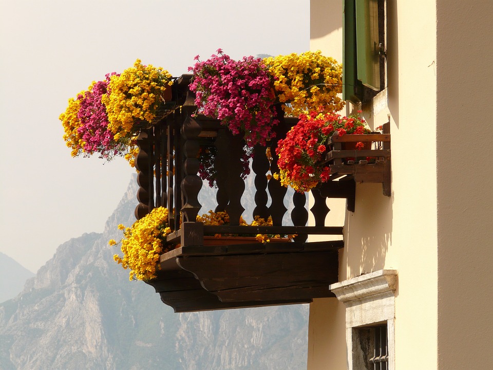  Najbolji proljetni savjeti za sadnju i uzgoj cvijeća na balkonu