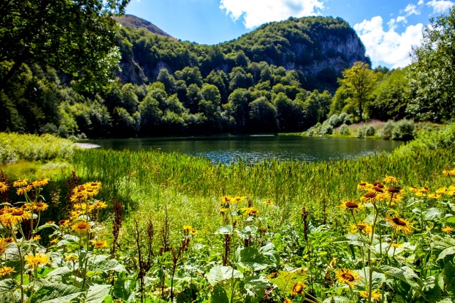 Jezero Donje Bare, Zelengora
