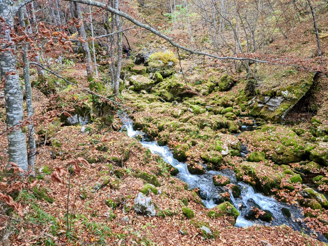 izvor rijeke Željeznice