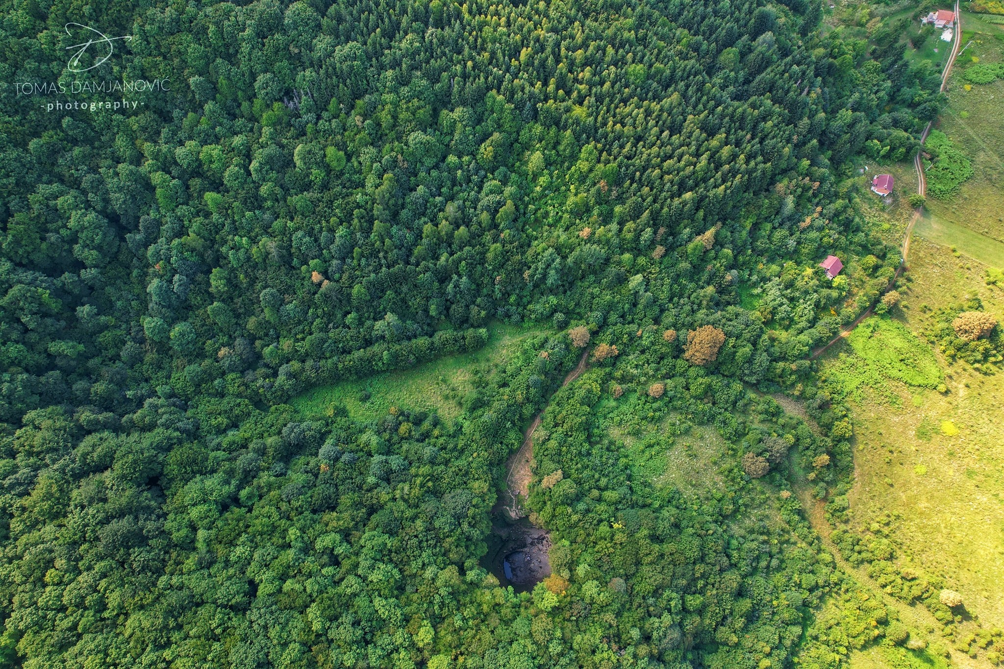  5 najvažnijih prašuma u Bosni i Hercegovini