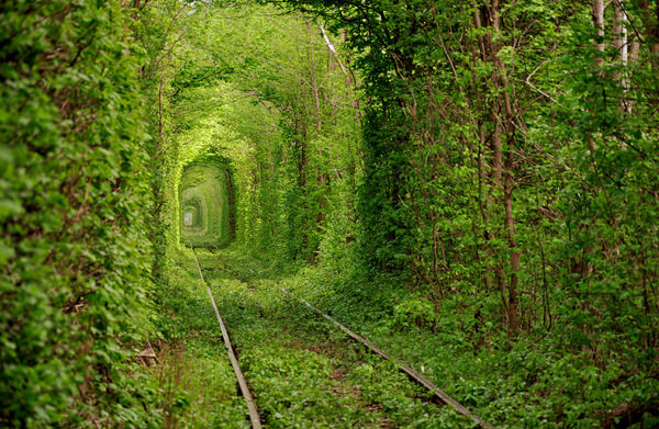  Tunel ljubavi – Najromantičnije mjesto u Ukrajini