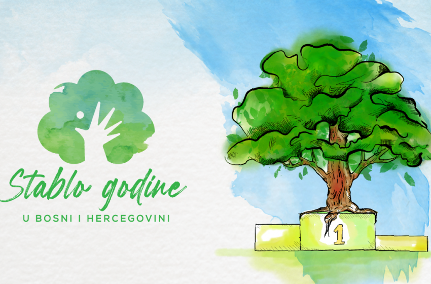  Glasajte za stablo godine u BiH!