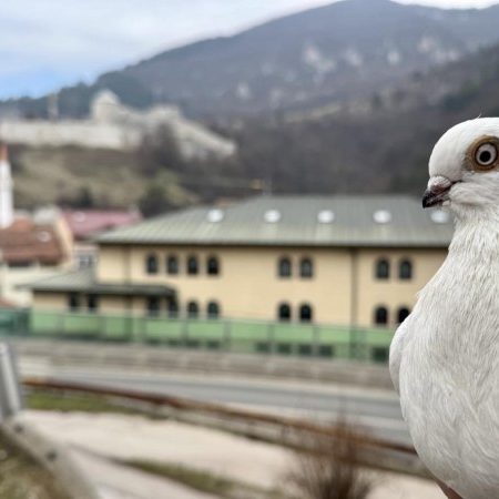 Foto: Općina Travnik