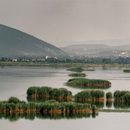 Hutovo blato; Foto: Belmin Mesanovic – Foto baza