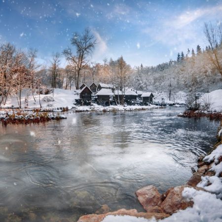 Jajce zima Samed Žužić