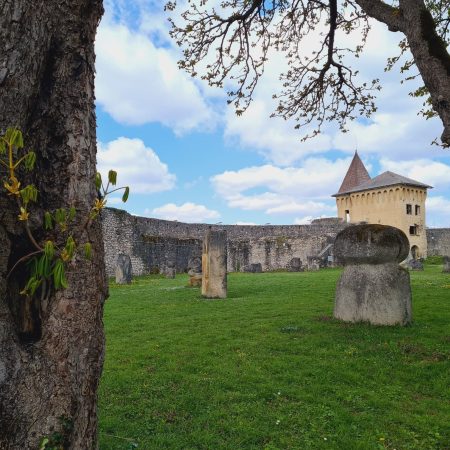 Foto: JU Centar za kulturu Cazin