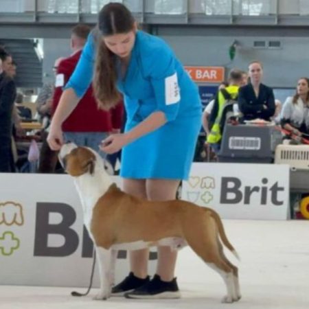 Foto: Pas Kovy. European Dog Show 2025