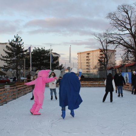 Foto: Grad Živinice