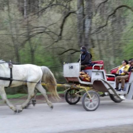 kočije vrelo bosne furaj