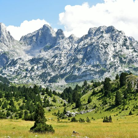 Foto: Pexels/ Sonja Marić