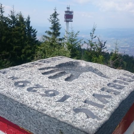 Vrh Sofe na Trebeviću; Foto: Sulejman Brka (uz dozvolu za Furaj.ba)